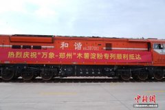 郑州国际陆港东盟木薯淀粉集散中心启用 年入库量可达15万吨